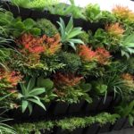 Ideas to Help Build a Spacing Saving Vertical Gardens