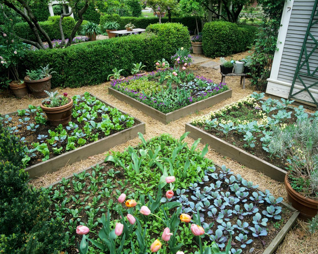 do it yourself gardening with raised garden beds - diy ideas