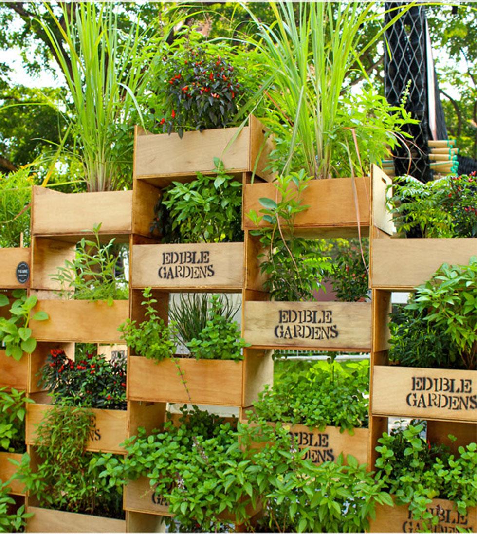 Ideas To Help Build A Spacing Saving Vertical Gardens